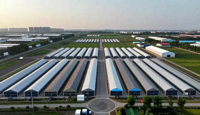 技术外包中的性能优化与适用场景分析
